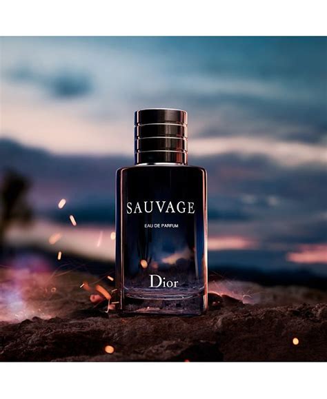 Macy's Dior sauvage